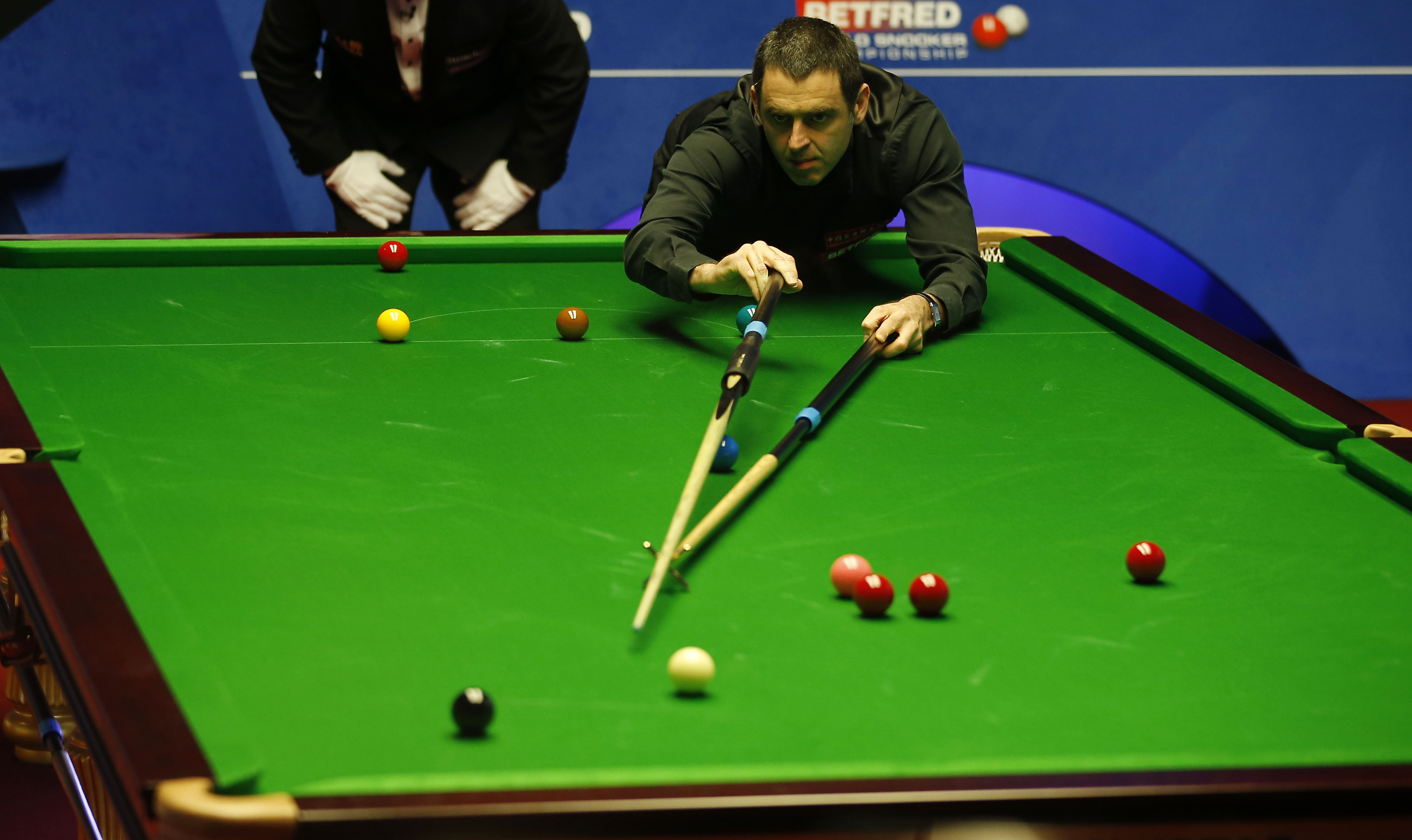 可持续发展 可持续发展